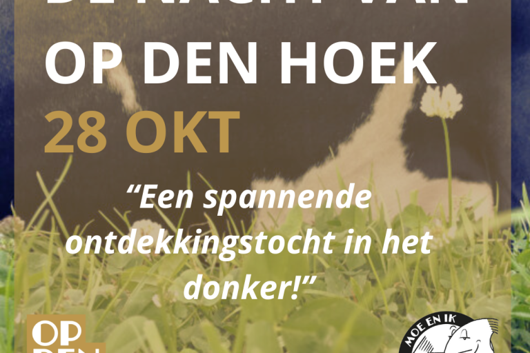 De nacht van op den hoek